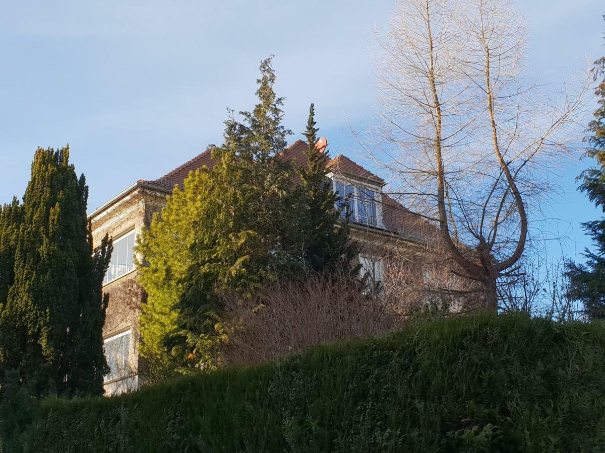Ferienwohnung Mit Flair Dresda Exterior foto
